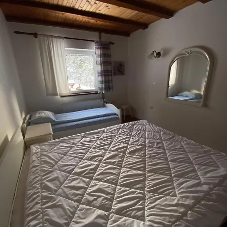 Jela Tornik Zlatibor