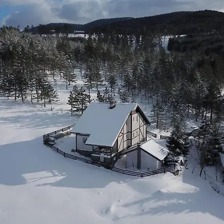 Jela Tornik Zlatibor