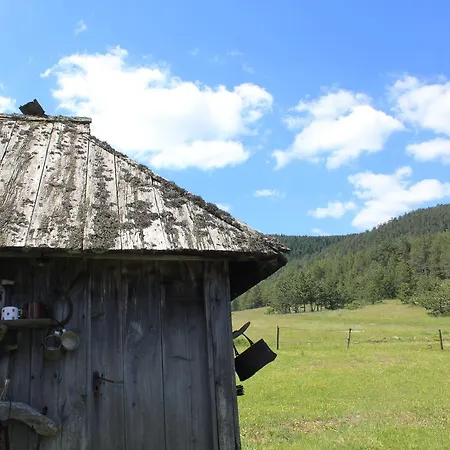 Jela Tornik Vakantiehuis Zlatibor