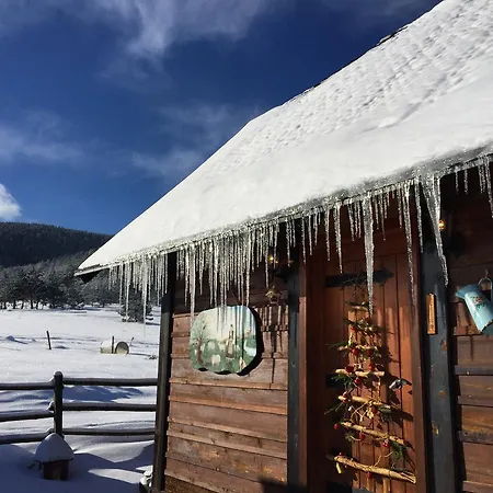 Jela Tornik * Zlatibor