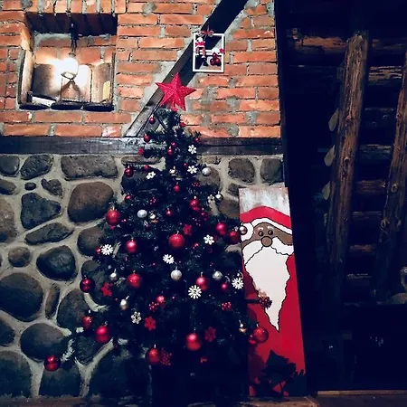 Jela Tornik Zlatibor