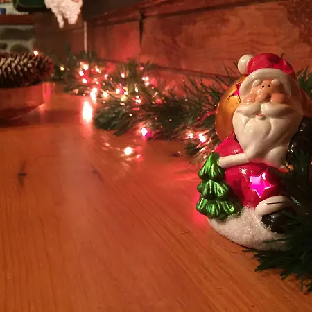 Jela Tornik Prázdninový dům Zlatibor