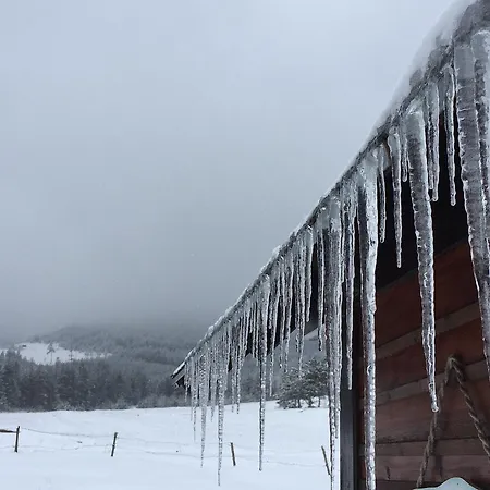 Prázdninový dům Jela Tornik *