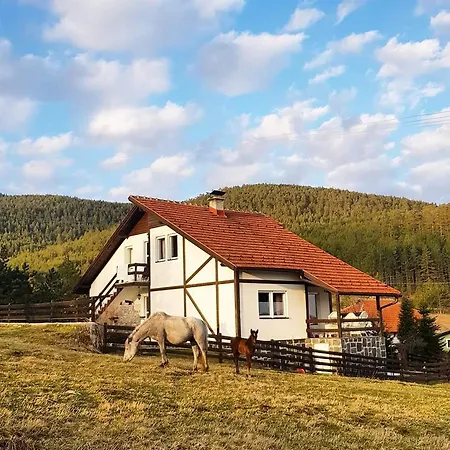 Jela Tornik Vakantiehuis *